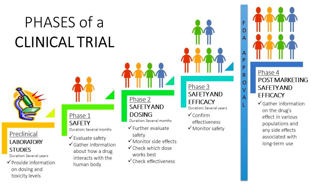 What are the four phases of clinical trials anyway?